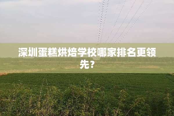 深圳蛋糕烘焙学校哪家排名更领先？