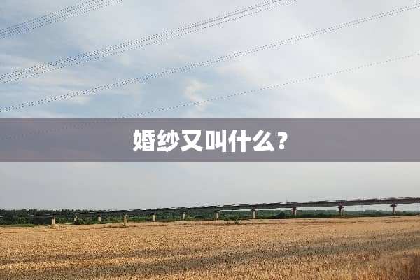 婚纱又叫什么？