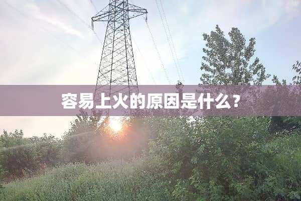 容易上火的原因是什么？