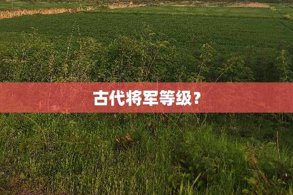 古代将军等级？
