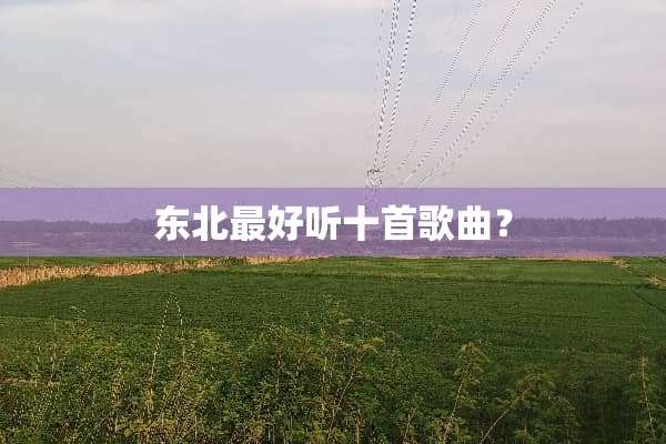 东北最好听十首歌曲？