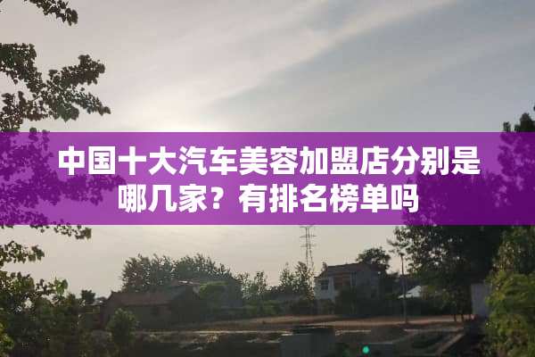 中国十大汽车美容加盟店分别是哪几家？有排名榜单吗