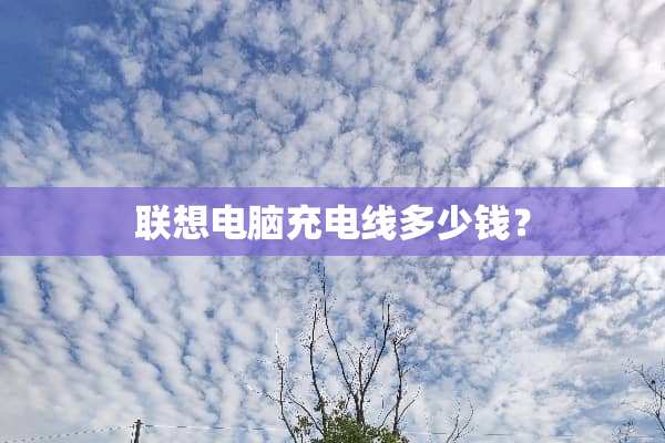 联想电脑充电线多少钱？
