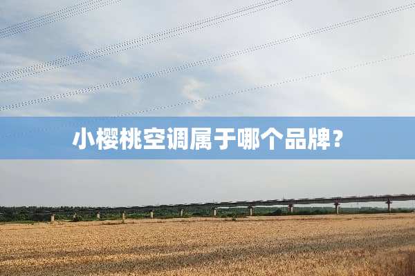 小樱桃空调属于哪个品牌？