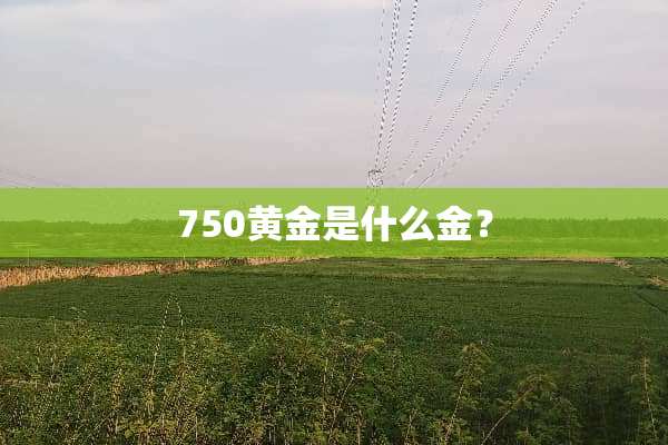 750黄金是什么金？