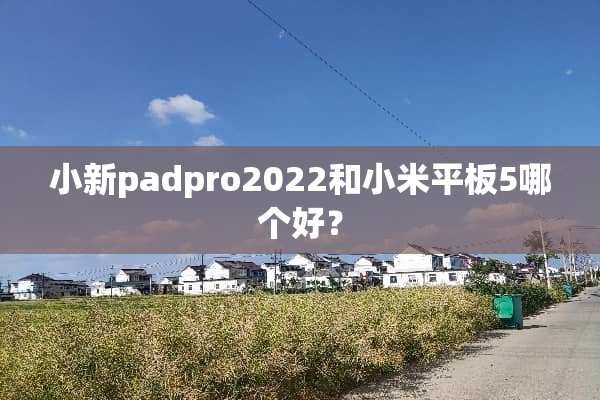 小新padpro2022和小米平板5哪个好？
