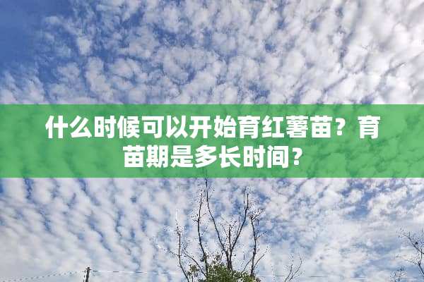什么时候可以开始育红薯苗？育苗期是多长时间？