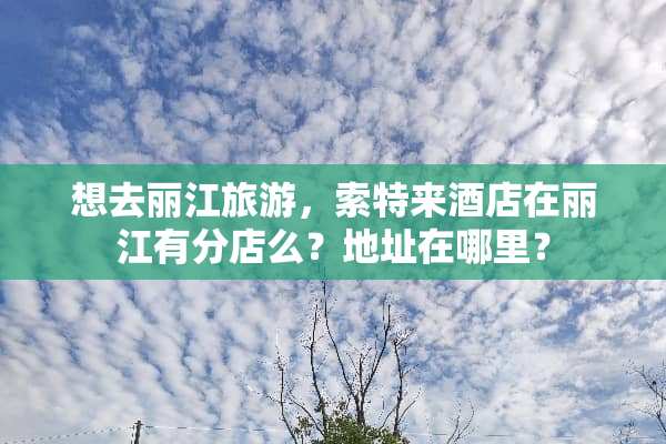 想去丽江旅游，索特来酒店在丽江有分店么？地址在哪里？