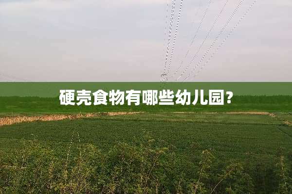 硬壳食物有哪些幼儿园？