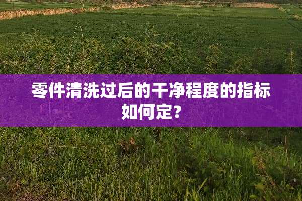 零件清洗过后的干净程度的指标如何定？