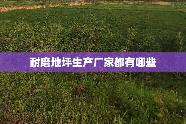 耐磨地坪生产厂家都有哪些