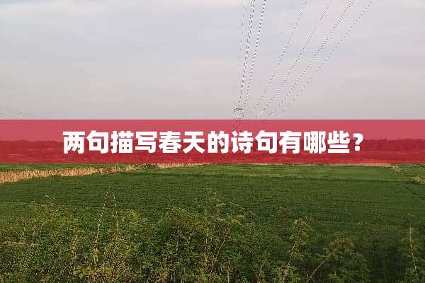 两句描写春天的诗句有哪些？