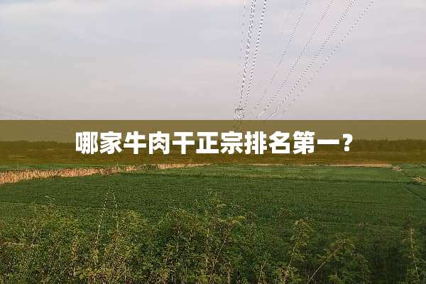 哪家牛肉干正宗排名第一？