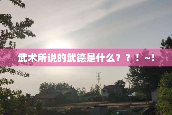 武术所说的武德是什么？？！~！