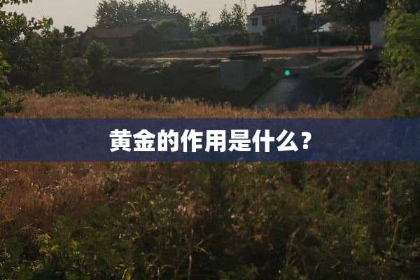 黄金的作用是什么？