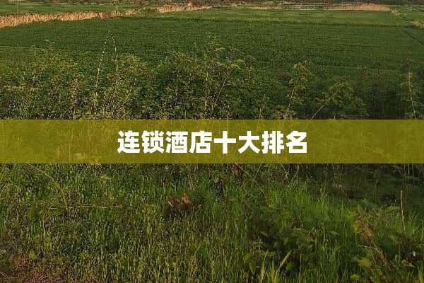 连锁酒店十大排名