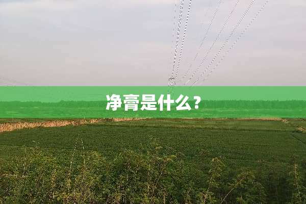 净膏是什么？