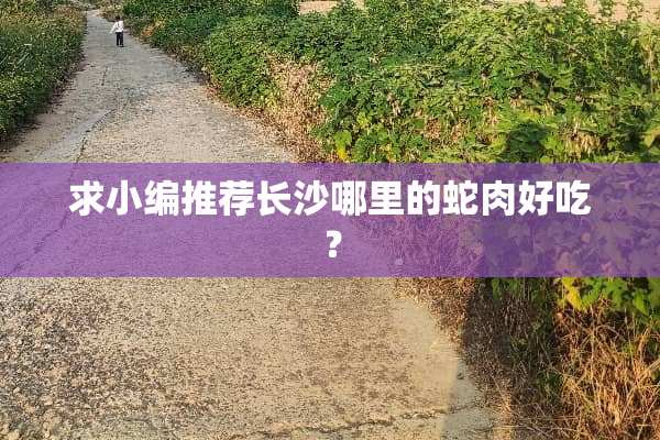 求小编推荐长沙哪里的蛇肉好吃？