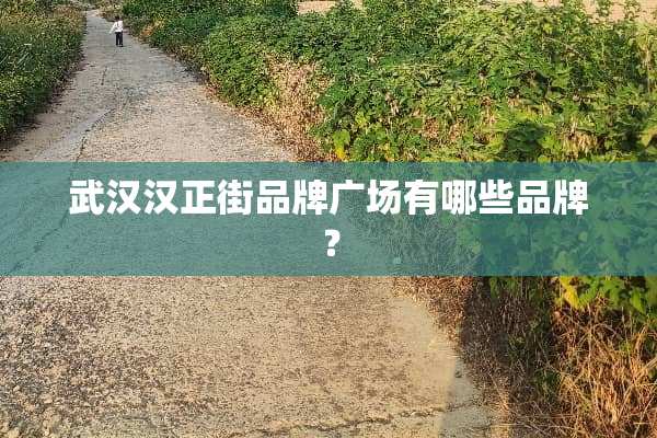 武汉汉正街品牌广场有哪些品牌？
