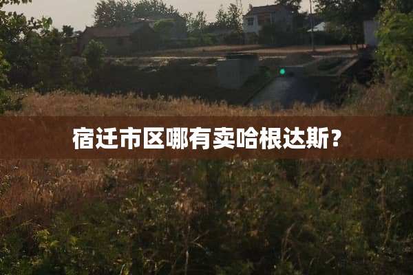 宿迁市区哪有卖哈根达斯？