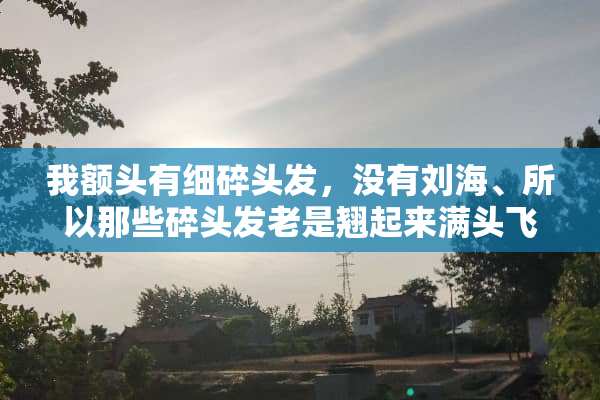我额头有细碎头发，没有刘海、所以那些碎头发老是翘起来满头飞、怎么办？