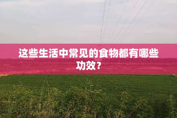 这些生活中常见的食物都有哪些功效？