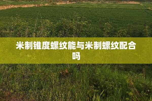米制锥度螺纹能与米制螺纹配合吗