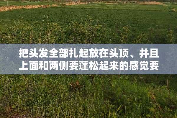 把头发全部扎起放在头顶、并且上面和两侧要蓬松起来的感觉要怎么扎呢？