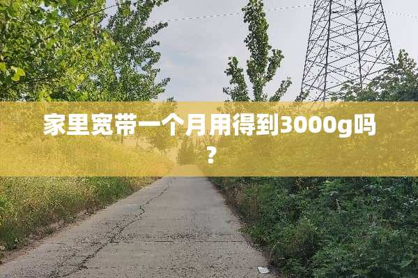 家里宽带一个月用得到3000g吗？