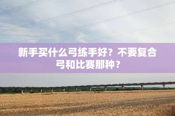 新手买什么弓练手好？不要复合弓和比赛那种？