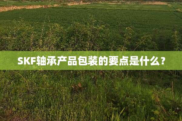 SKF轴承产品包装的要点是什么？