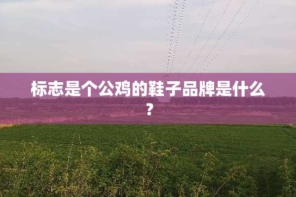 标志是个公鸡的鞋子品牌是什么？