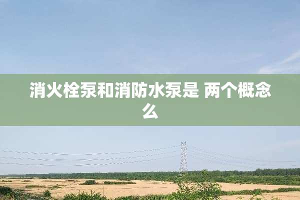 消火栓泵和消防水泵是 两个概念么