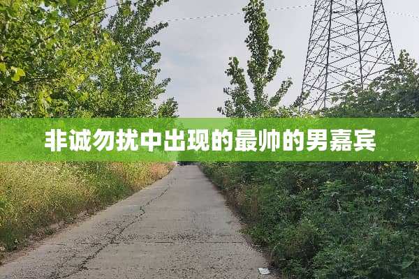 非诚勿扰中出现的最帅的男嘉宾