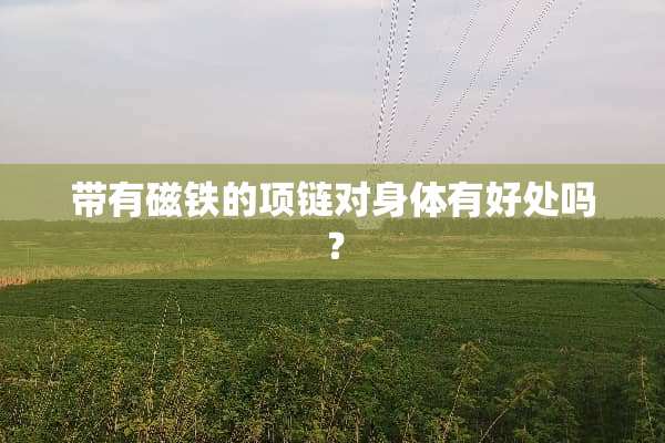 带有磁铁的项链对身体有好处吗？
