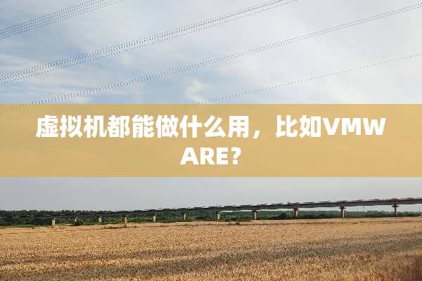 虚拟机都能做什么用，比如VMWARE？