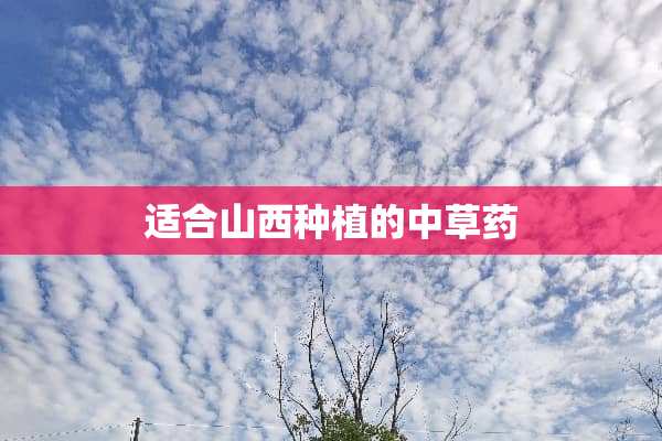 适合山西种植的中草药
