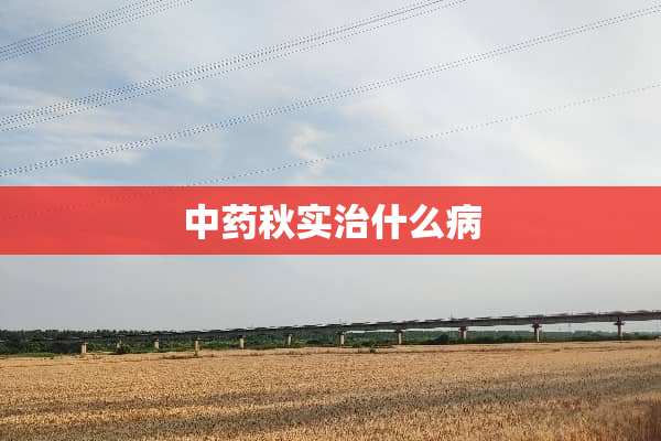 中药秋实治什么病