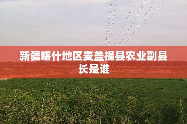新疆喀什地区麦盖提县农业副县长是谁