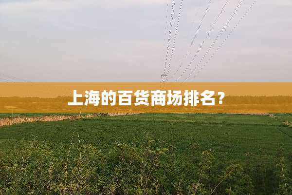 上海的百货商场排名？
