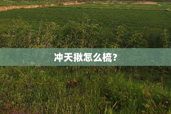 冲天揪怎么梳？