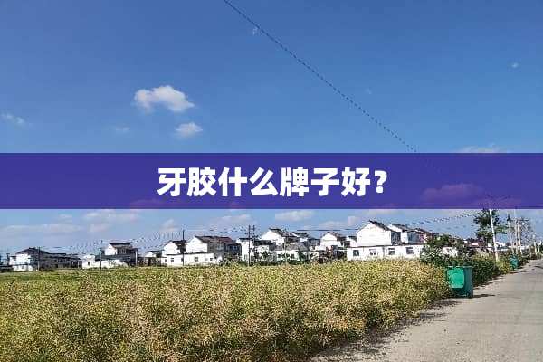 牙胶什么牌子好？