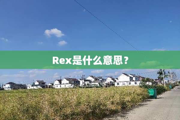 Rex是什么意思？