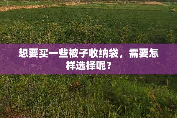 想要买一些被子收纳袋，需要怎样选择呢？