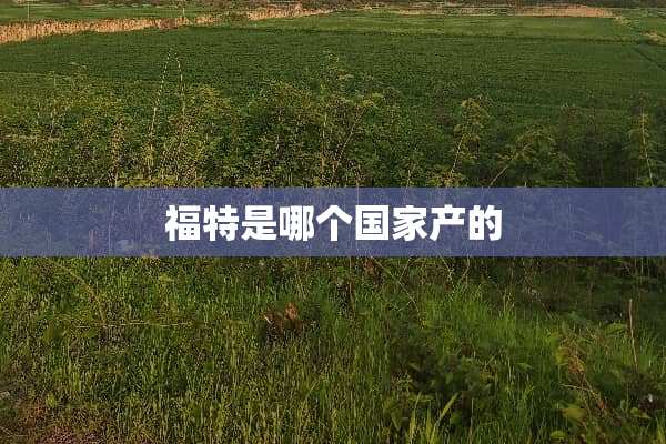 福特是哪个国家产的