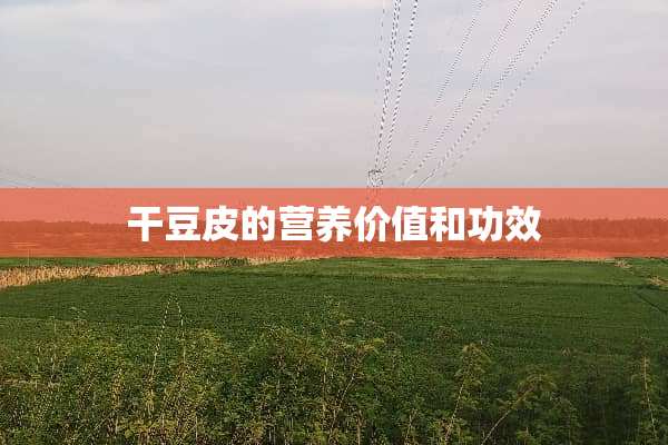 干豆皮的营养价值和功效