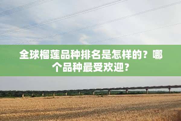 全球榴莲品种排名是怎样的？哪个品种最受欢迎？