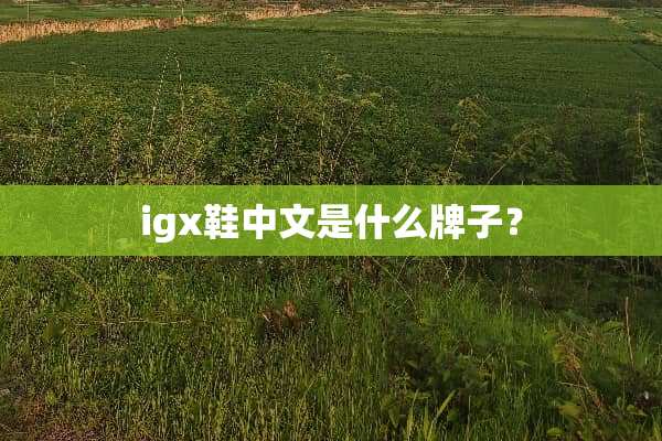 igx鞋中文是什么牌子？