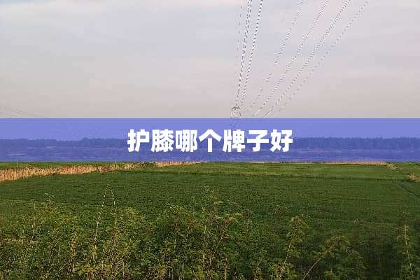 护膝哪个牌子好