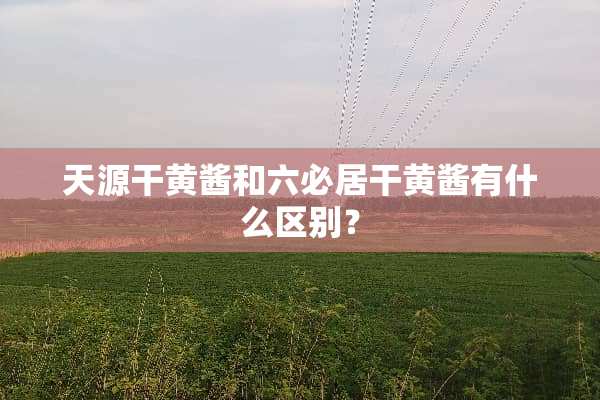 天源干黄酱和六必居干黄酱有什么区别？